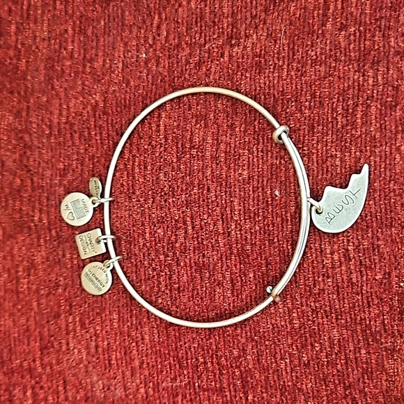 Alex and Ani Best Friends Rafaelian Silver Bangle Bracelet - Picture 2 of 6